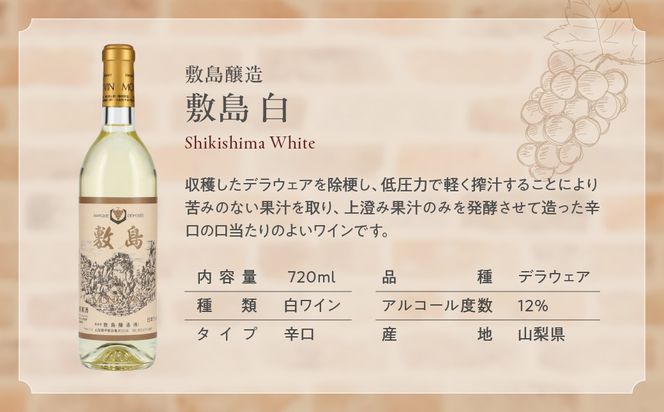 甲斐市産　白ワイン飲み比べ　3本セット　C　Presents by Katerial　AD-74