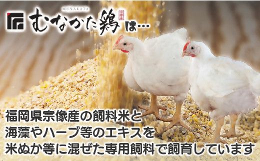 宗像産ブランド鶏【むなかた鶏】食べ比べセット（モモ肉、ムネ肉、手羽先各2kg）（平飼い）【JAほたるの里】_HA1424