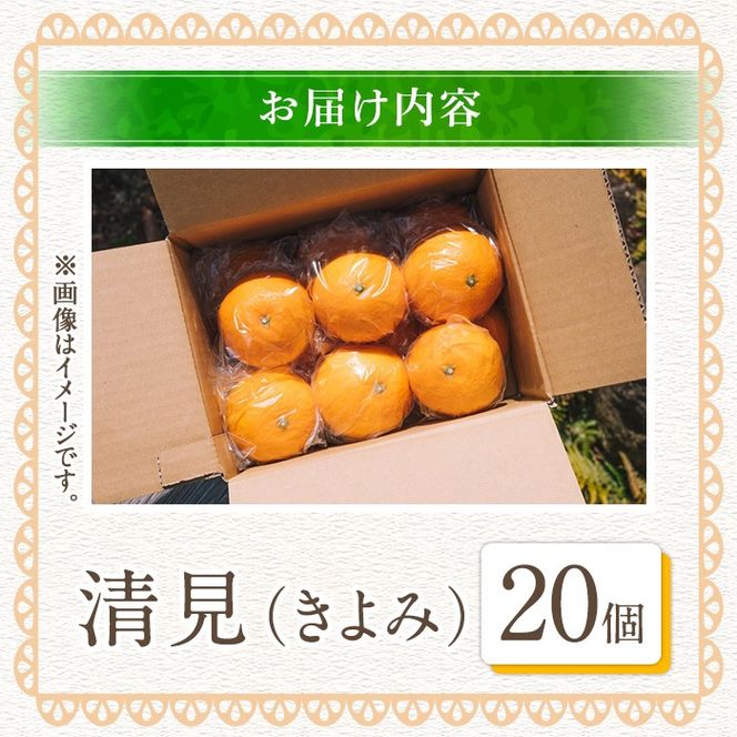 ＜先行予約受付中！2026年4月上旬以降順次発送予定＞数量限定！鹿児島県産 清見 (20個・2L) 柑橘 フルーツ 果物 国産 みかん 期間限定 きよみ キヨミ ミカン【株式会社イロドリ】akn069-09