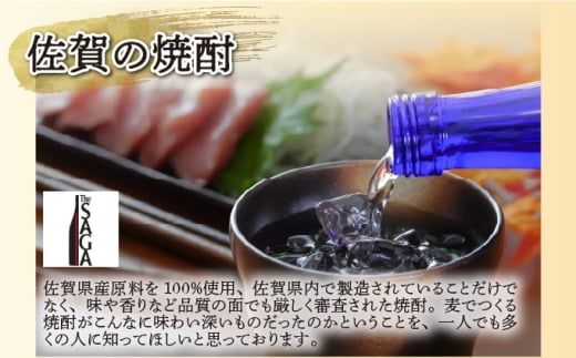 選べる！TheSAGA認定酒 日本酒720ml