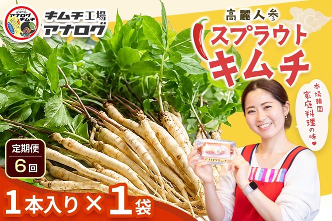 【6カ月定期便】熟成秘伝の高麗人参スプラウトキムチ(1本入り×1袋)【エナキム 健美キムチ 健康志向 熟成キムチ ご飯のお供 発酵食品 手作り 辛味控えめ 国産素材】(H104184)