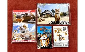 さんじゅーろーグッズセット 雑貨 文房具 小物 詰め合わせ ネコ 実写 猫城主 ポストカード メモ帳 A6 サイズ ピンバッヂ ラバー キーホルダー 
