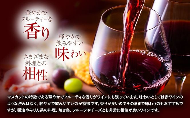 酒 日本ワイン 750ml 2本 矢掛放送 岡山県矢掛町《30日以内に出荷予定(土日祝除く)》 酒 ワイン 国産 ヒロハンブルグ 赤ワイン 国産 ブドウ 100％---osy_cyhwine_30d_26_44000_2---