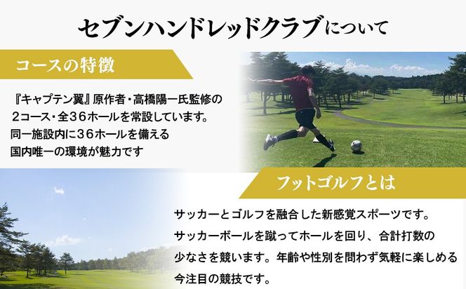 フットゴルフ　土日祝日プレー 4,000円割引　セブンハンドレッドクラブ≪栃木県 ゴルフ場≫