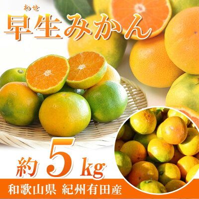 G7097_紀州和歌山有田産 ゆら早生みかん 5kg【ミカン 蜜柑 柑橘 温州みかん わせみかん】