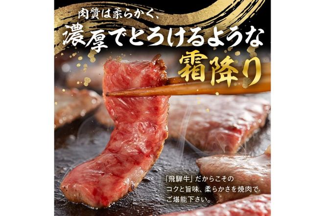  飛騨牛　焼肉用ロース1kg（500ｇ×2）【0016-053】