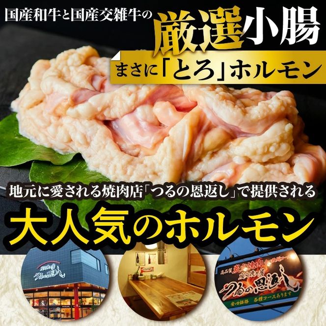 焼肉屋さんの旨とろホルモン 200g×4P (計800g) 特製旨ダレ漬け 和牛 国産 味噌だれ 味付き バーベキュー_2613R