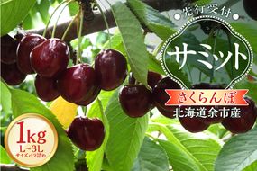 【2026年産 先行予約】＜北海道余市産＞さくらんぼ「サミット」（L～3Lサイズバラ詰め）500ｇ×2パック_Y103-0056