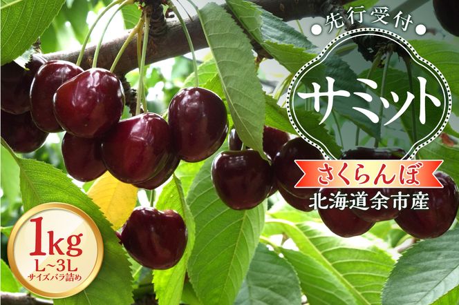 ykC]szy2026NY s\zkC]sYځuT~bgviL`3LTCYol߁j500×2pbN_Y103-0056