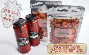 ジャム グラノーラ セット あまおうジャム 230g×2＋いちごいちごいちごあまおうグラノーラ 110g×2 加工食品 イチゴジャム ストロベリージャム シリアル 朝食 朝ごはん 小腹 特別栽培 