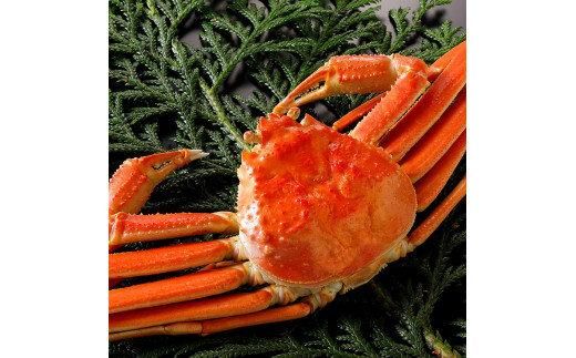 y挧khz756.y{Cz2025N11  tɁyuh^Otz1kg̑傫TCY H׉ 1t 313726_BS001VC02