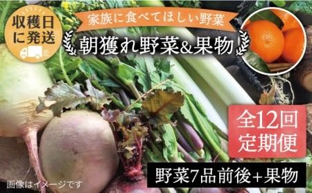 【全12回定期便】こだわり 野菜 （7品前後） セット ＋ 果物 《糸島》【 オーガニックナガミツファーム】[AGE013] 野菜セット 野菜 やさい サラダ 詰め合わせ トマト とまと 野菜野菜セット 野菜やさい 野菜サラダ 野菜詰め合わせ 野菜トマト 野菜とまと 野菜ベビーリーフ 野菜水菜 野菜ハーブ 野菜オクラ 野菜人参 野菜にんじん 野菜ニンジン 野菜ほうれん草 野菜クレソン 野菜かぼちゃ 野菜カボチャ 野菜じゃがいも 野菜玉ねぎ