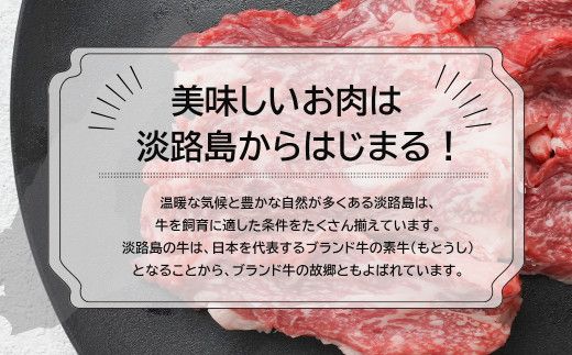 淡路牛カルビ焼肉用500ｇ（250g×2） カルビ 牛肉 小分け