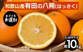【先行予約】 有田の八朔（はっさく） 約10kg S～M サイズ混合 和歌山県産