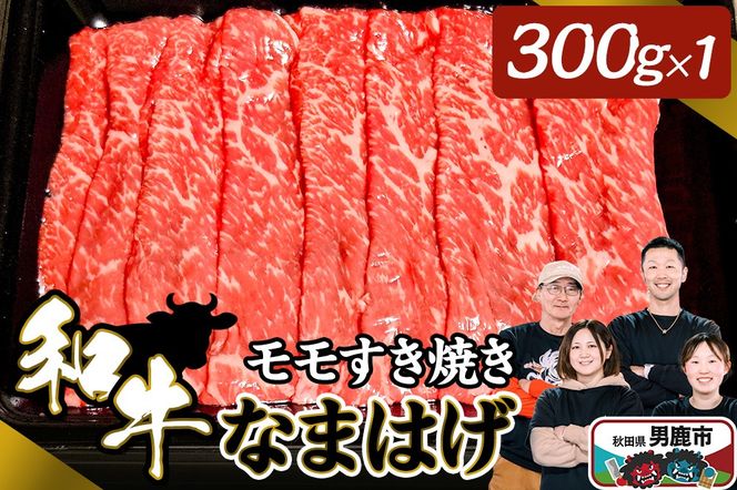 和牛なまはげ モモすきやき 300g 大進農場|23_dsf-040301