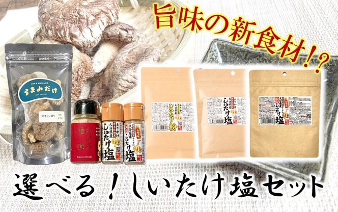 旨みの新食材!?選べるしいたけ塩セット_2524R