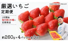 【 先行予約 】 【 定期コース 】 厳選 いちご 4パック 【 毎月 第3木曜に全3回発送 初回発送 2027年1月21日 】 （常陸太田市 共通返礼品 ) 約260g×4パック いばらキッス ひたち姫 やよいひめ から 厳選して お届け 定期便 いちご 数量限定 果物 くだもの フルーツ 苺 イチゴ 数量限定