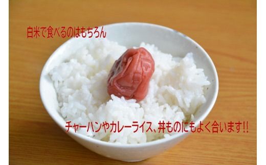 【新米受付・令和8年産米】【3ヶ月定期便】新潟県村上市産　ゆきん子舞 白米 5kg×3ヶ月  1039056N