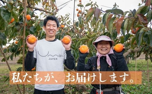 うま杉の富有柿 10kg L ※2025年11月中旬～12月中旬頃に順次発送予定