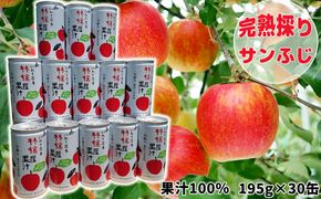果汁100%！宇津宮果樹園の林檎屋果汁りんごジュース30缶セット 【サンふじ】 【635-1】