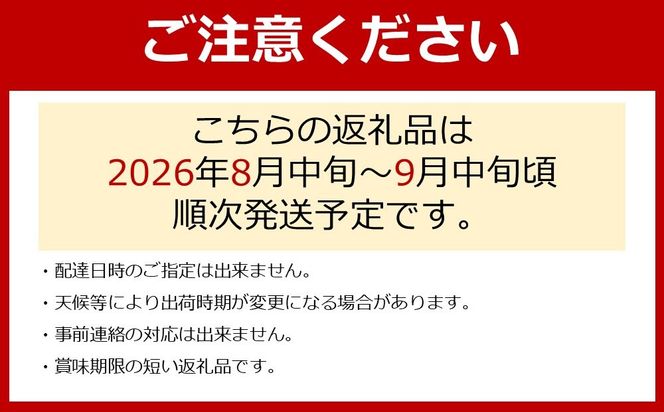 【先行予約】朝採り 巨峰 約1kg (2～3房) 有田巨峰村 大南農園【2026年8月中旬頃より順次発送】EM002