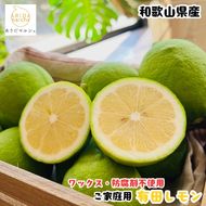紀州和歌山 ご家庭用 有田 レモン 3kg［先行予約］［MS70］ 303446_XD90221