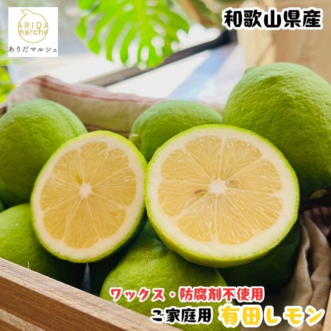 ［先行予約］紀州和歌山 ご家庭用 有田 レモン 3kg［MS70］ 303446_XD90221