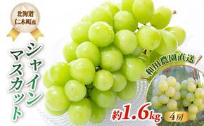 [先行受付] 北海道 仁木町産 シャインマスカット 約1.6kg 4房（1房400g前後） 果物 ぶどう フルーツ 果物類 ブドウ シャインマスカット マスカット [和田農園]