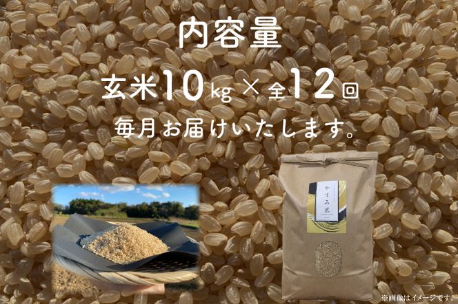 【先行予約】【2026年9月末より順次発送】【茨城県共通返礼品/潮来市】【12ヶ月定期便】栽培期間中出来るだけ農薬を減らしたかすみ米 10kg(玄米)　茨城県潮来市産