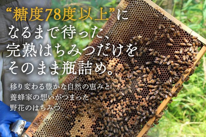 はちみつ  百花 クロガネモチ 各300g 計2本 使いやすいプラ容器入り 非加熱生はちみつ 純粋生はちみつ 食べ比べ 370