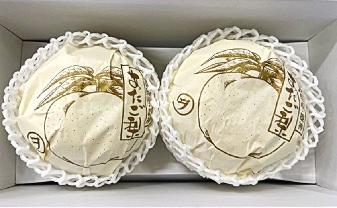 梨 2026年 先行予約 あたご梨 2玉 青秀以上 (約1.4kg) 化粧箱入り[№5735-2016]