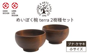 【寄附額見直し！】めいぼく椀テッラ小 2樹種セット(ブナ・ケヤキ)【めいぼく椀テッラ  10.5φ×6cm 手作り ウレタン塗装 国産天然木 おしゃれ プレゼント 記念 お祝い お椀 神奈川県 小田原市 】 142069_AR013