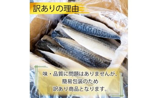 訳あり 塩サバ 約700g~約5kg 冷凍 大容量 鯖 塩 さば 塩鯖 塩さば 魚 海鮮 海産物 おかず ご飯 おすすめ ギフト 贈答 切り身 不揃い サバフィーレ 鯖フィーレ フィーレ 焼き魚 人気 愛知県 南知多町 【配送不可地域：離島】