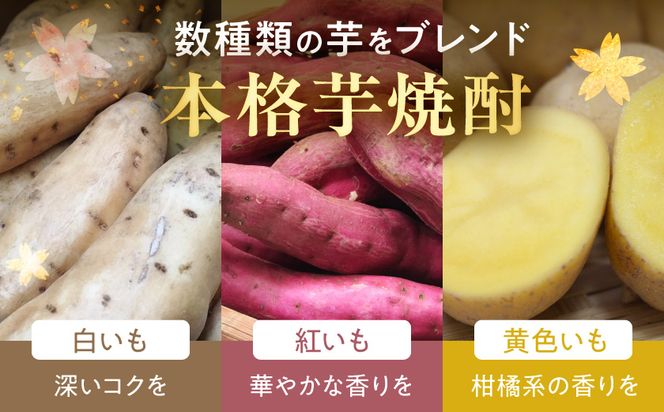 【大浦酒造】みやこざくら(20度)900ml×5本 ≪みやこんじょ特急便≫_MJ-0770_99