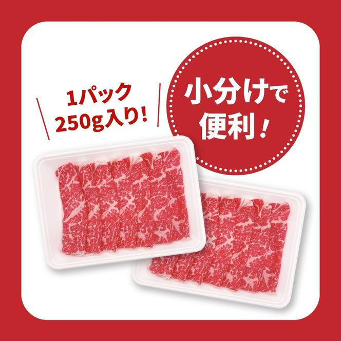 宮崎県産黒毛和牛肩ロースすき焼き用切落し1kgセット K65_0002