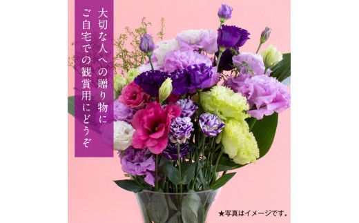 【CF-R7hbk】JJM006　《先行予約》芸西村特産 トルコギキョウ花束（約20本程度の花束）