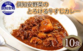 倶知安 牛すじカレー 北海道 計10個 中辛 レトルト食品 加工品 牛すじ 牛肉 野菜 じゃがいも お取り寄せ グルメ スパイシー スパイス【お肉・牛肉・加工食品】 