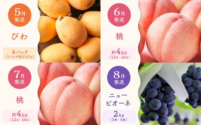 【定期便全12回】旬果厳選！四季を味わう単品定期便♪～プレミアム等級選果～ 372013_GM025