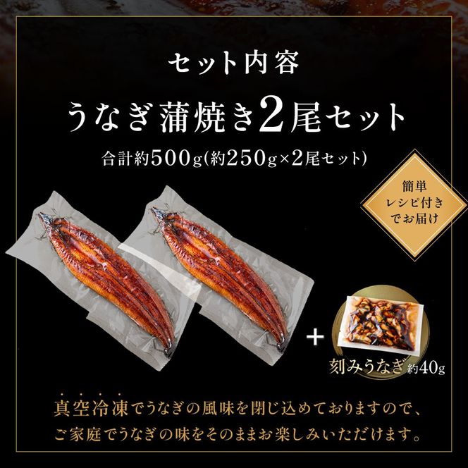 【ふるプレ限定品】うなぎ蒲焼き2尾セット＜刻みうなぎ40g×1袋付＞【魚住商店】_HA1964-FP