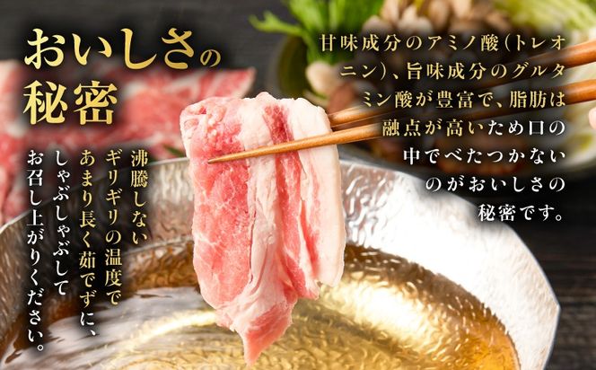 昔ながらの黒豚しゃぶしゃぶセット＜バラ、ロース、肩ロース＞6～8人前　K125-004