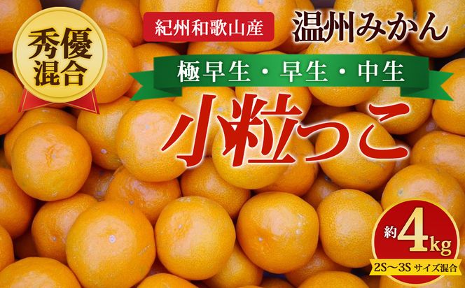 【先行予約】【秀優混合】紀州和歌山産 温州みかん「小粒っこ」約4kg（箱込み）2S～3S サイズ混合 小玉みかん（極早生・早生・中生）