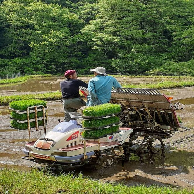 【令和7年産】有機肥料米ナオちゃんのお米【出雲市産きぬむすめ】4kg（1kg×4袋）美味しい お米 贈答 有機栽培 出雲市産 322032_FX001