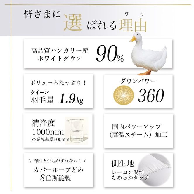 【アンバーホワイト】＜京都金桝＞ 羽毛布団 『クイーン』 ハンガリーホワイトダウン90％ 1.9kg アクア 日本製 冬用 ボリューム 布団 京都亀岡産 新生活