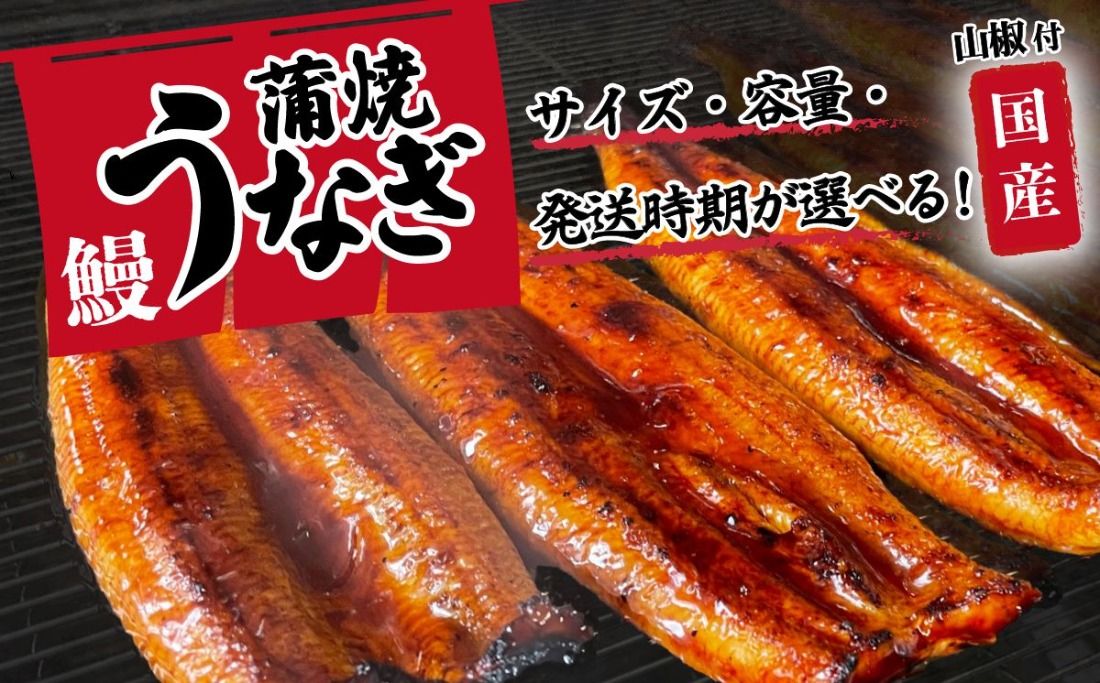国産 うなぎ 蒲焼 山椒付き [サイズ・容量・ギフト・発送時期が選べる] 特上2尾 550g以上 (カット加工有・無) / 3尾 380g以上 or 430g以上 / 5尾 640g以上 ウナギ 鰻 ふぞろい 不揃い うな重 ひつまぶし 人気 茨城 八千代町 ふるさと納税 冷凍 タレ 山椒 化粧箱 父の日 母の日 ギフト お中元 お歳暮 [SF045ya00]