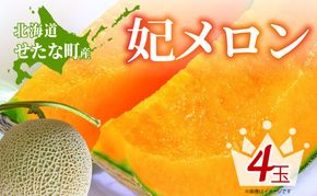 【2026年8月上旬から順次発送】【北海道産極旨メロン】妃メロン 4玉 メロン 旬 野菜 赤肉 ジュース アールスメロン 産地直送 せたな町 ふるさと納税