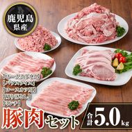 isa737 鹿児島県産 豚肉セット (合計5kg) 鹿児島県産 豚肉 豚 肉 ロース 豚バラ 豚ばら バラ肉 ばら肉 切落し 切り落とし ミンチ ロースカツ とんかつ トンカツ 小分け 真空 真空パック セット 冷凍 【TRINITY】