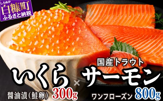 [ふるさと納税] 醤油漬鮭いくら 300g(100g×3パック) ×国産トラウトサーモン 800gのセット ふるさと納税 いくら イクラ 鮭いくら 鮭イクラ 鮭 秋鮭 完熟卵 たらこ 海鮮 ごはんのお供 白米 海鮮食品 魚卵 魚