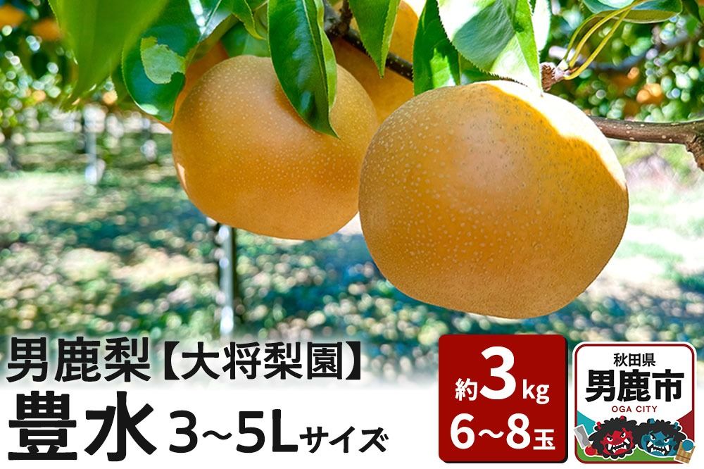 [先行受付]男鹿梨 「大将梨園」豊水 約3kg 6〜8玉 3〜5L 梨 秋田県 男鹿市|23_tsn-010301