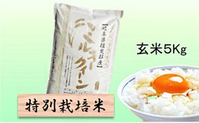 特別栽培米 【 令和8年産 】 玄米 5kg 【 ミルキークイーン 】