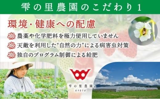 【3回定期便】数量限定 幻の京都亀岡産 高級いちご【女峰】1箱分×3回定期便 ※化学肥料・農薬極力不使用《イチゴ 苺 いちご フルーツ 農家直送》 ※2026年1月中旬～5月下旬頃に順次発送予定